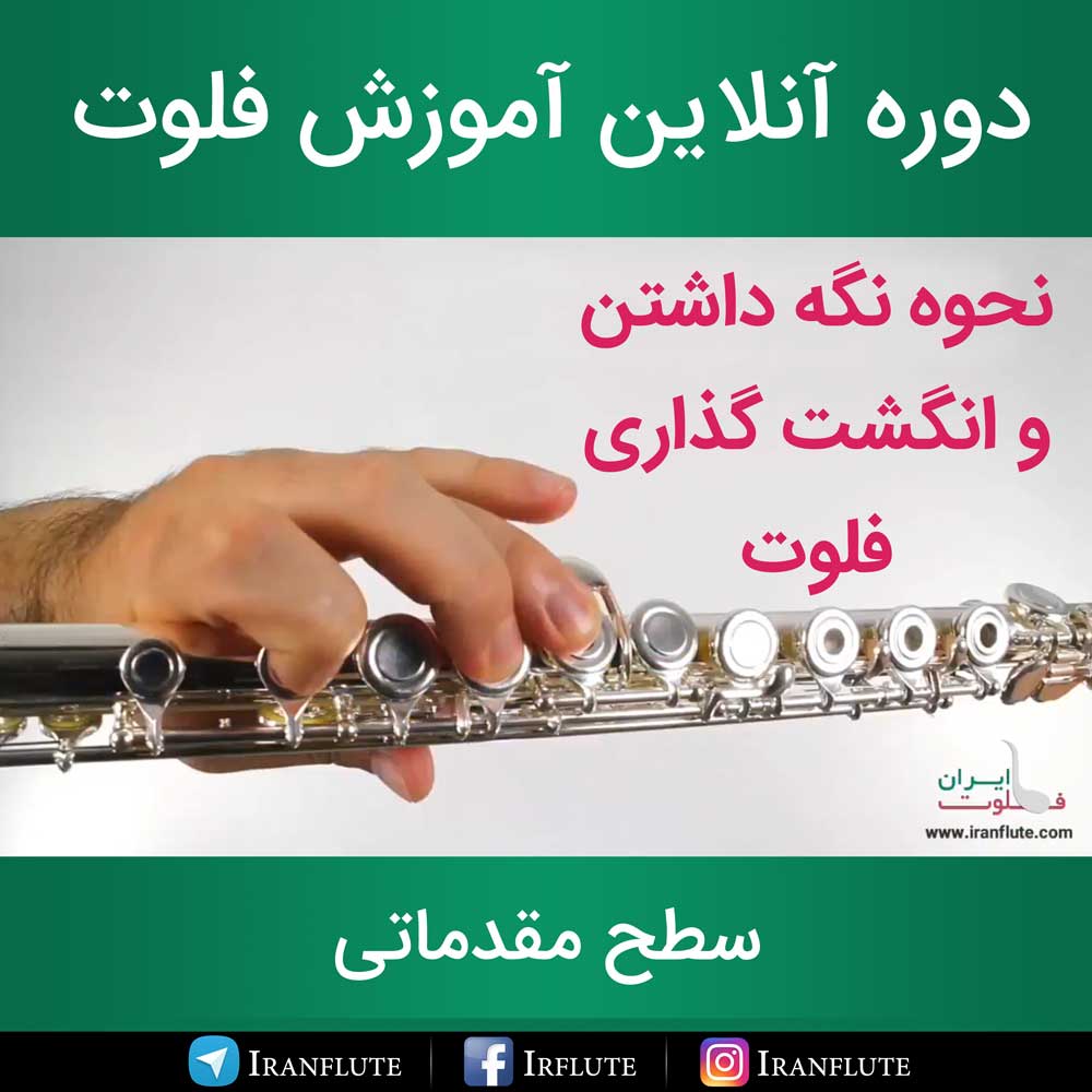 دوره آنلاین آموزش فلوت : روش صحیح نگه داشتن و انگشت گذاری فلوت (دوبله فارسی)